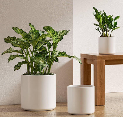 Set of 3 Plant Pots with Drainage Hole & Plug for Indoor & Patio Decor