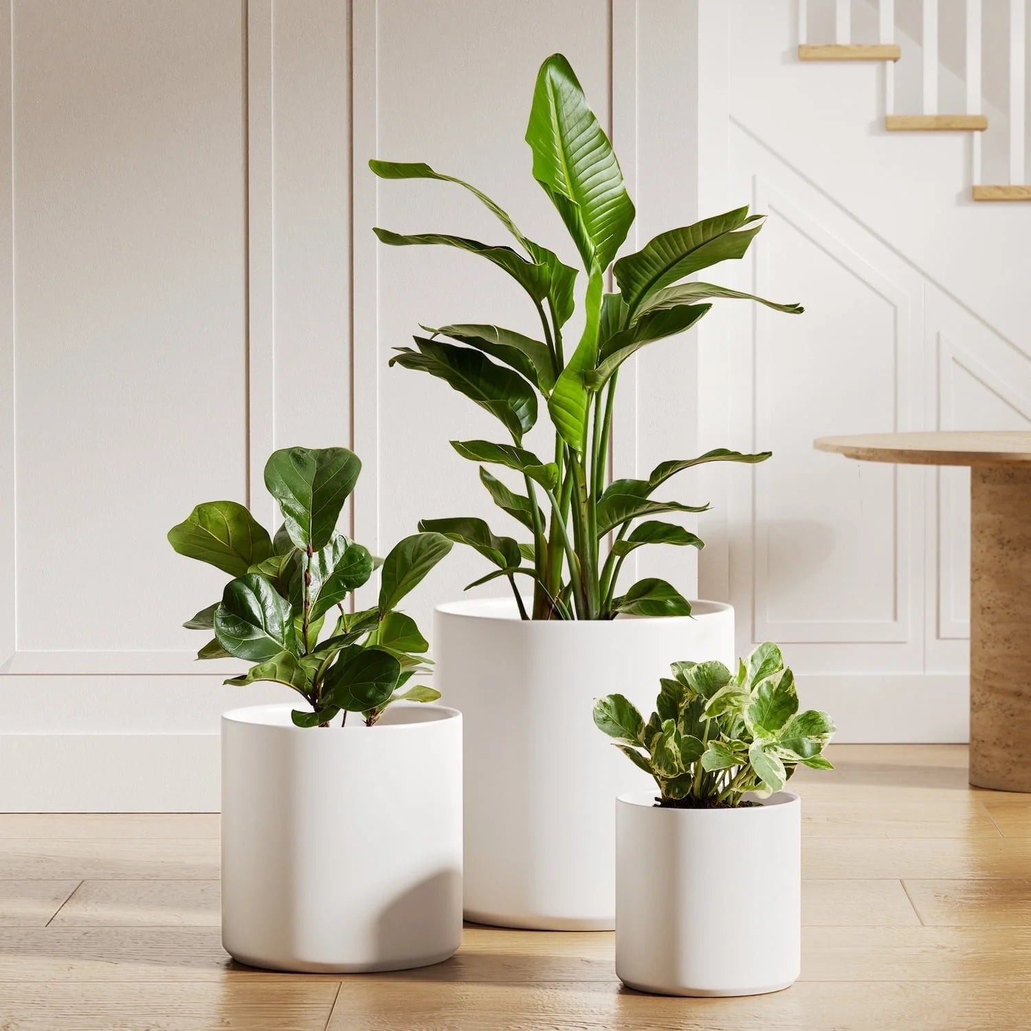 Set of 3 Plant Pots with Drainage Hole & Plug for Indoor & Patio Decor