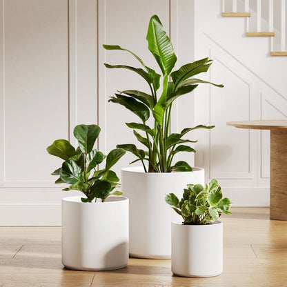 Set of 3 Plant Pots with Drainage Hole & Plug for Indoor & Patio Decor