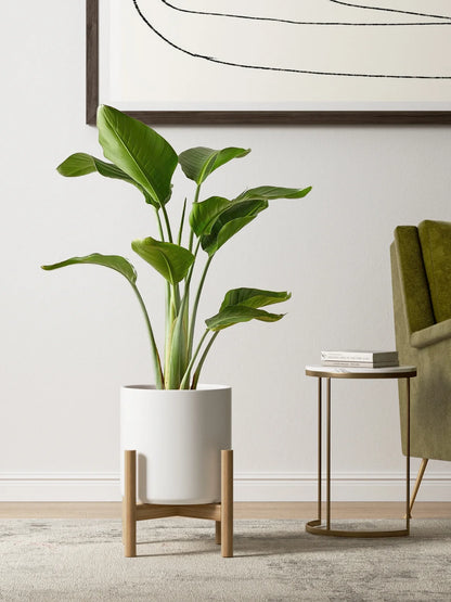 Set of 3 Plant Pots with Drainage Hole & Plug for Indoor & Patio Decor