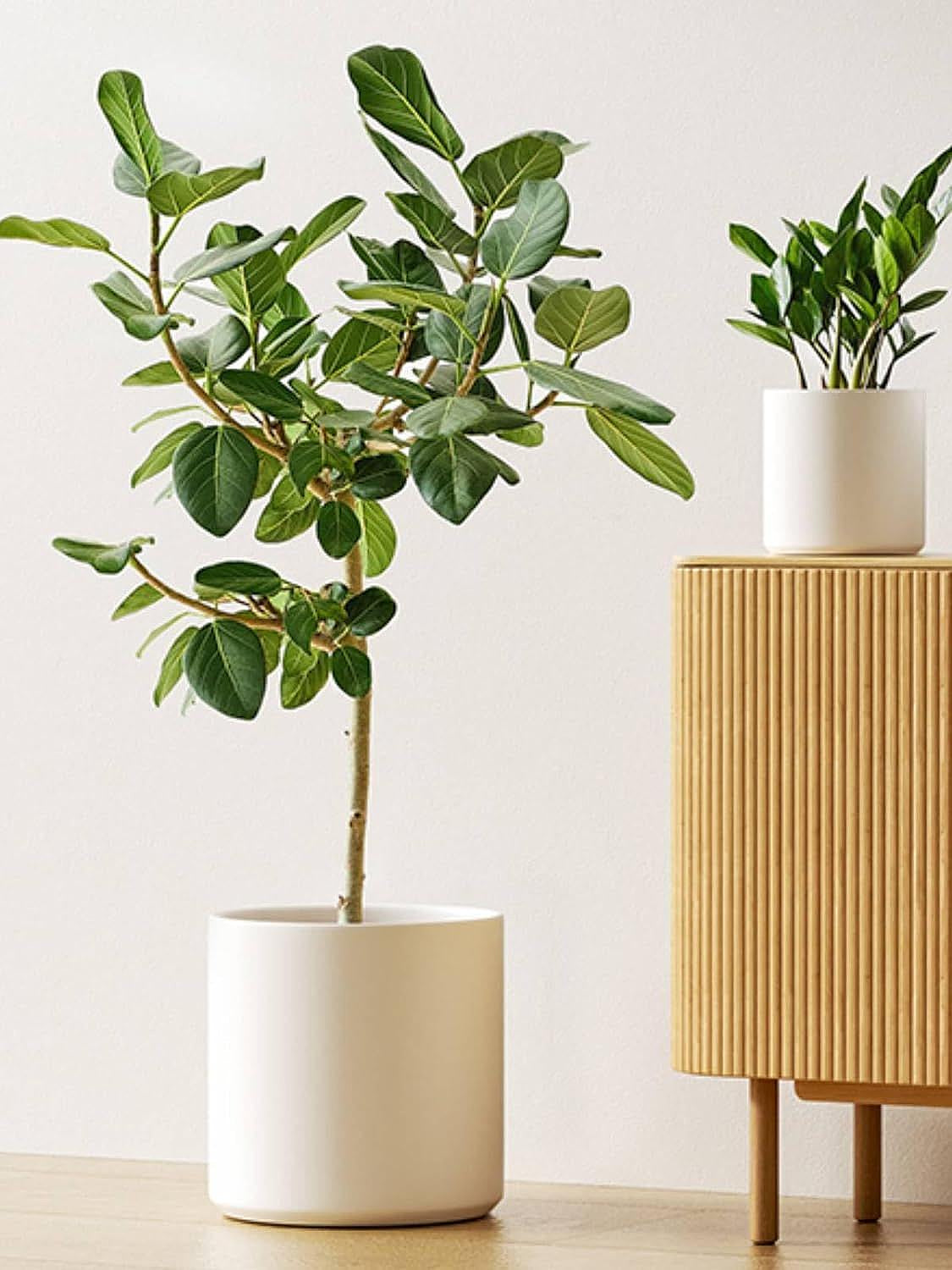 Set of 3 Plant Pots with Drainage Hole & Plug for Indoor & Patio Decor